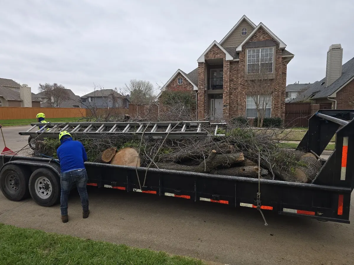 Expert Tree Pest Control with proper safety equipment in Red Rock